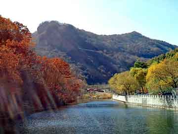 新澳天天开奖资料大全旅游团，虎贲氏